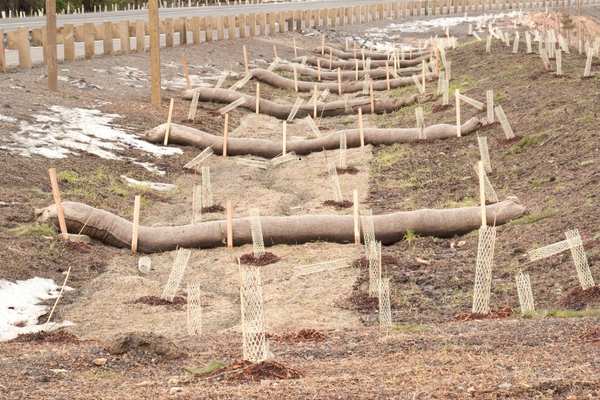 An erosion control plan beside a highway